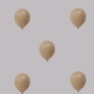Pastel-decoratie-ballonnen-No.79-VT